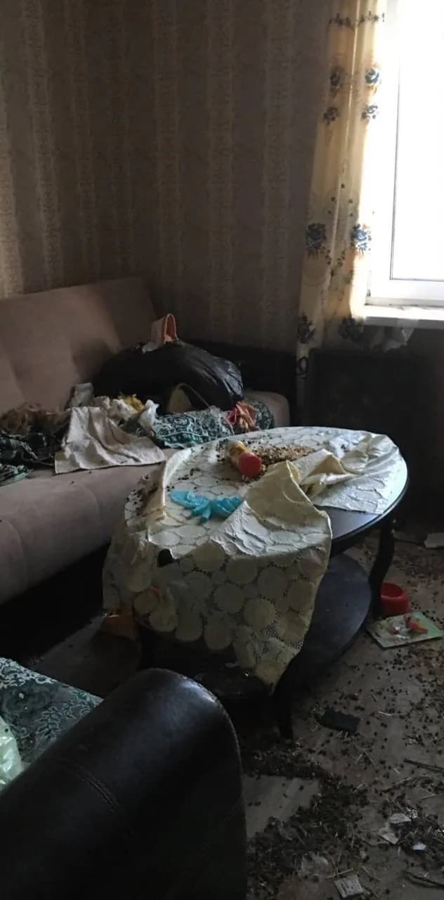 До уборки — Уборка сильно запущенной комнаты